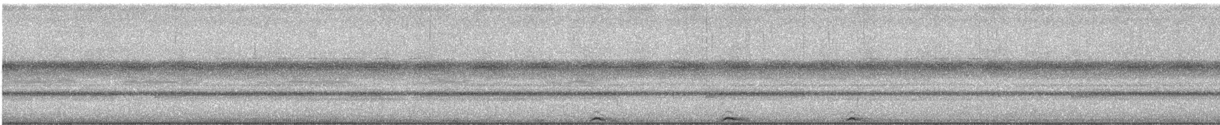 Mottled Owl - ML646313301