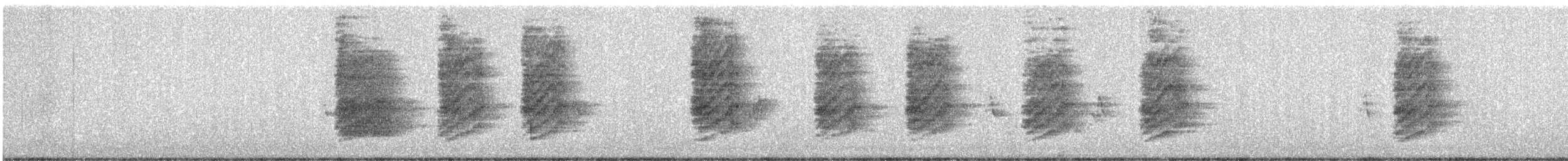 California Scrub-Jay - ML646313315