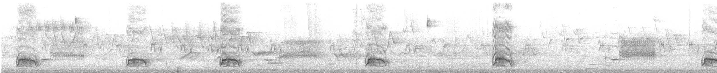 Каролинский дятел - ML646313340