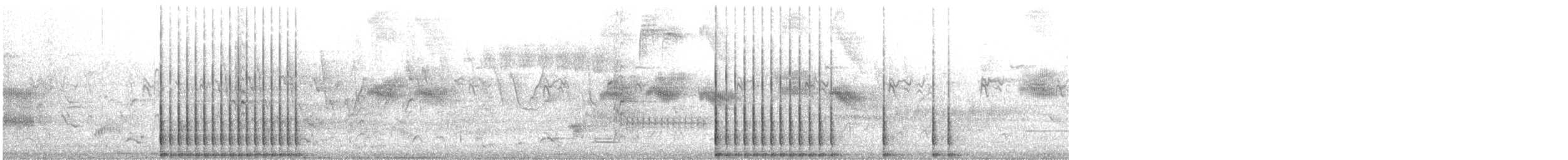 Каролинский дятел - ML646313341