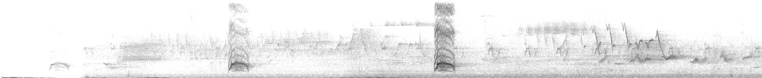 Каролинский дятел - ML646313342