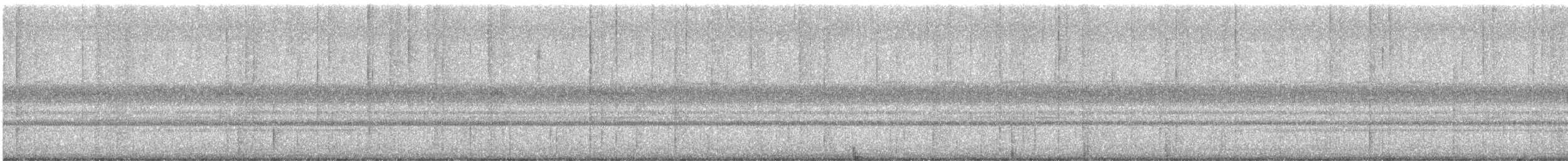 Vaux's Swift - ML646313368