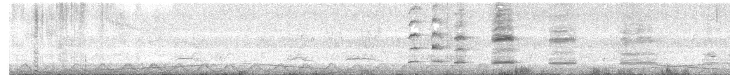 Red-rumped Parrot - ML646313399