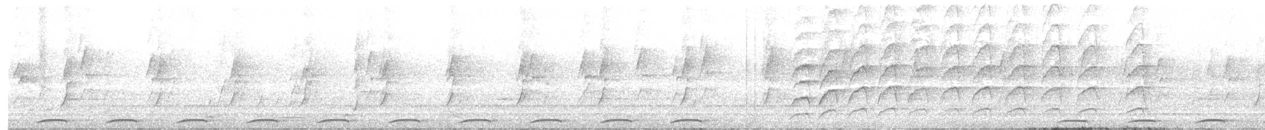 Wongataube - ML646313544