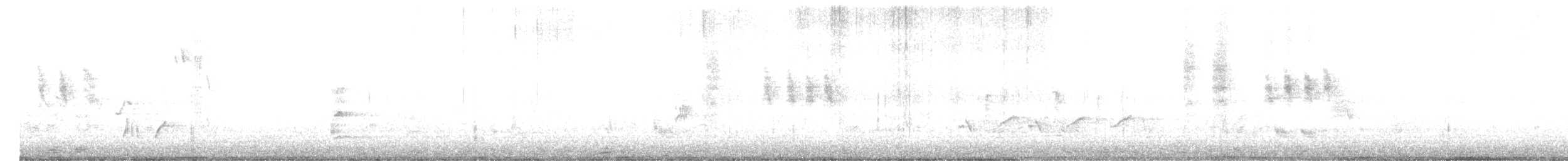 Малая шипоклювка - ML646313896