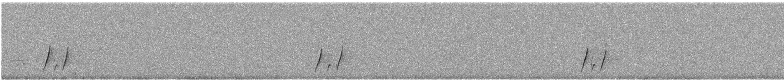 Кривоклювый пересмешник - ML646313948