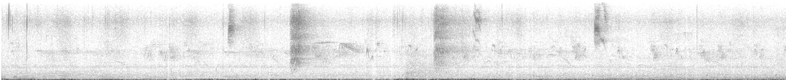 Колібрі-смарагд золоточеревий - ML646314489