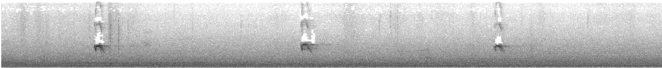 Кіпаль жовтобровий - ML646314676