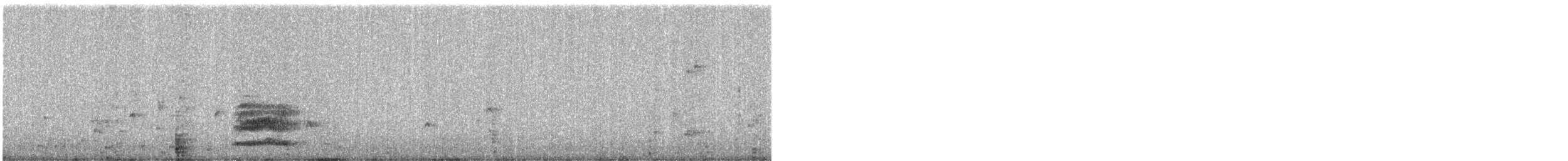 Тауї плямистий - ML646314773