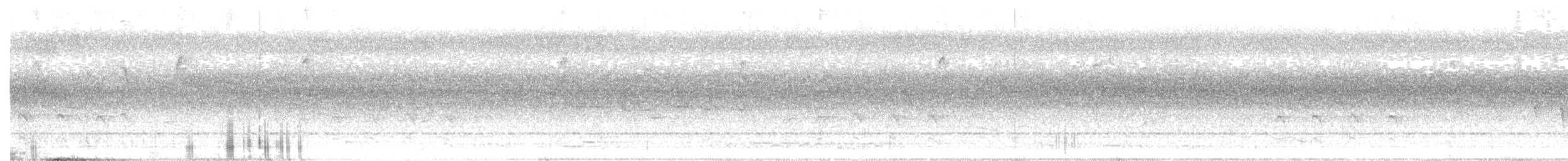 Sacred Kingfisher - ML646315119