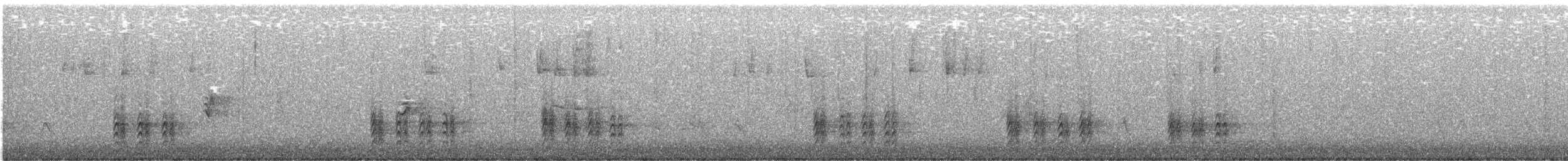 Повзик каролінський [група lagunae] - ML646315322