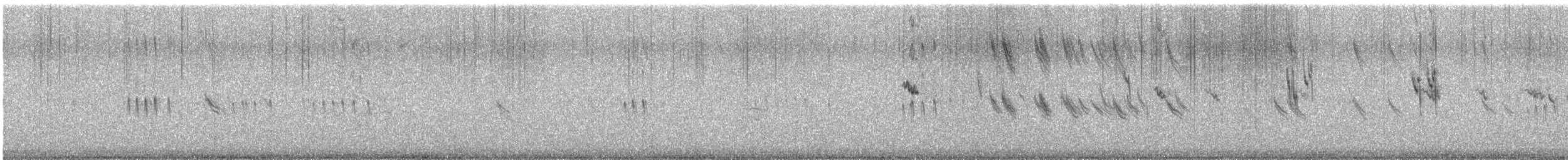 Подорожник лапландський - ML646315493