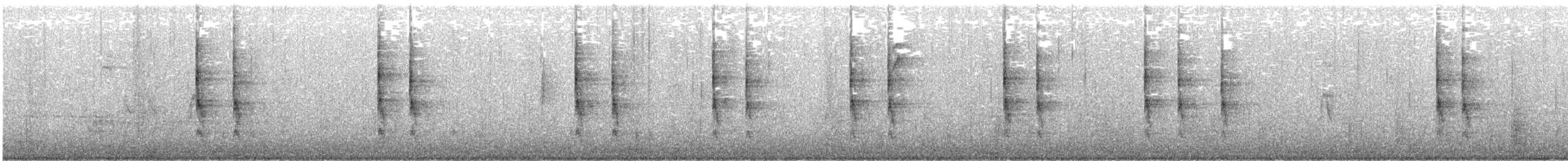 Волоочко канадське - ML646315498