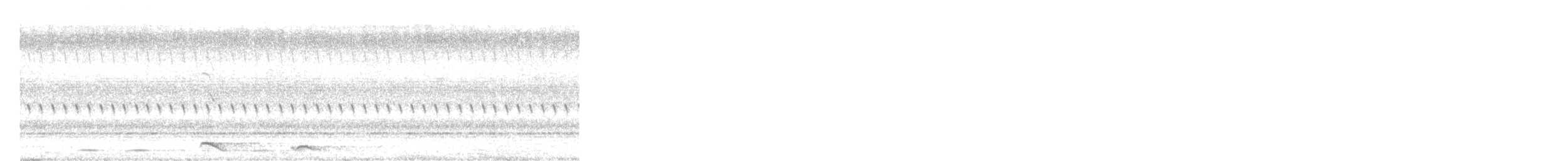 Сорочиця сіроспинна - ML646315509