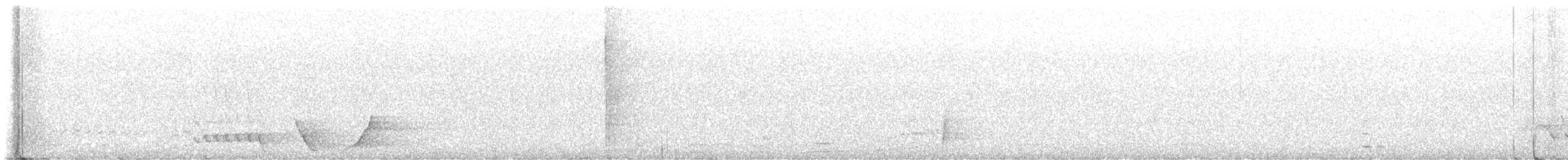 Superb Lyrebird - ML646315792