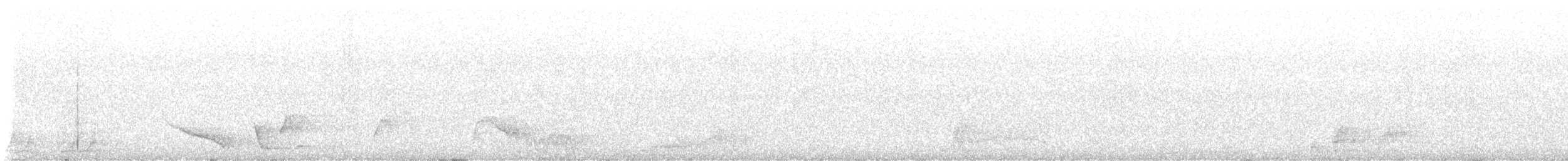 Superb Lyrebird - ML646315797