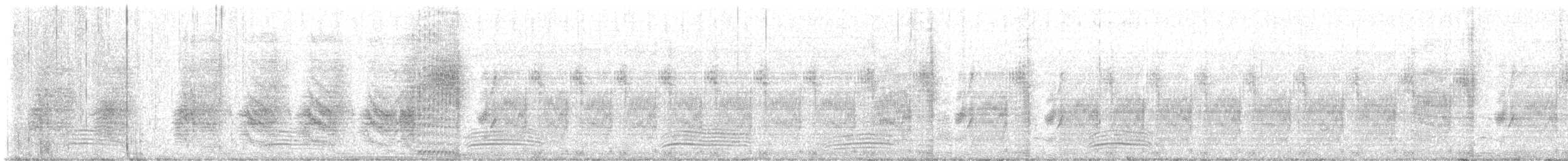 Satin Bowerbird - ML646315839