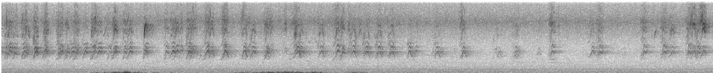 House Finch - ML646315968