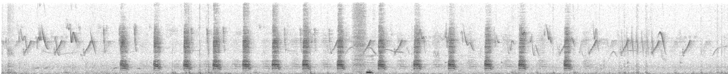 Egyptian Goose - ML646316095