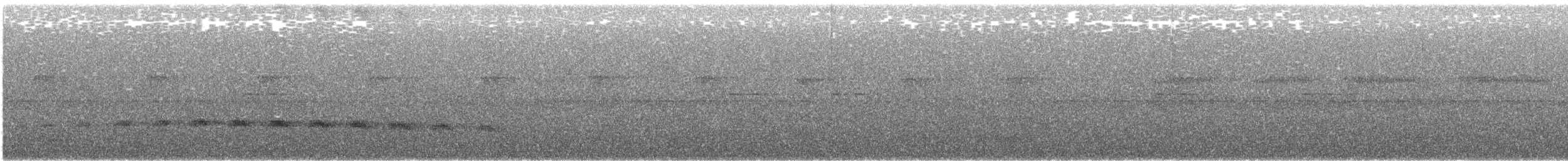 Black-faced Antbird - ML646316116