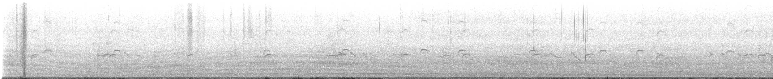 Scaly-breasted Munia - ML646316587