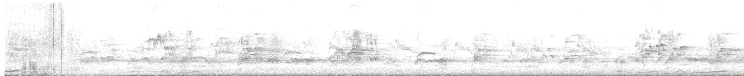 Brown Cuckoo-Dove - ML646316668