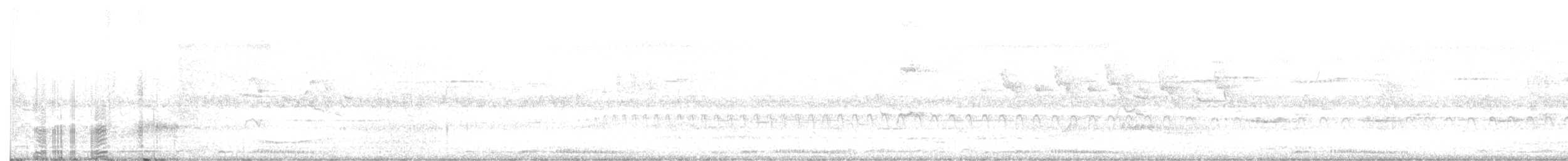 Bar-shouldered Dove - ML646316680