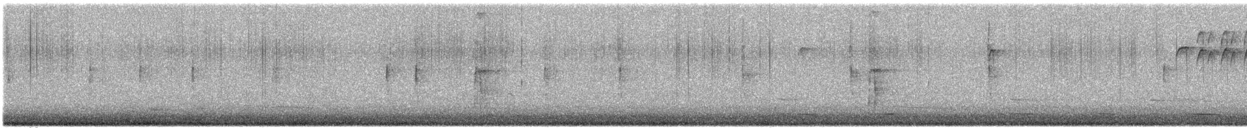 Hairy Woodpecker - ML646316900