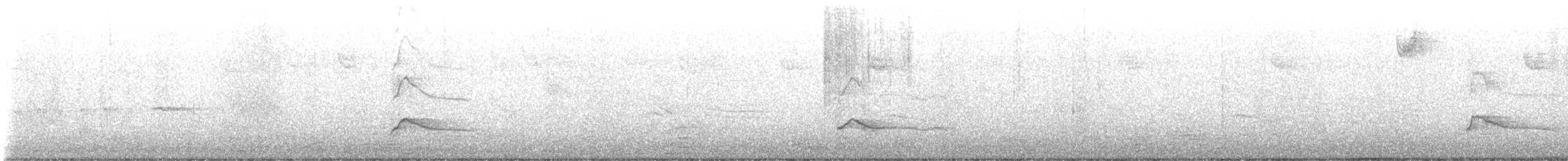 Red-tailed Hawk - ML646317322