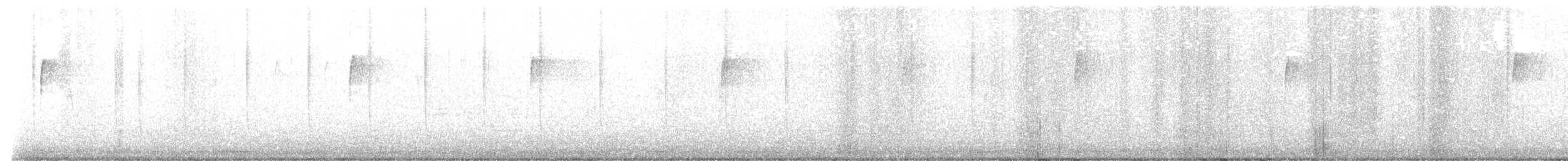 Rufous Hummingbird - ML646317494