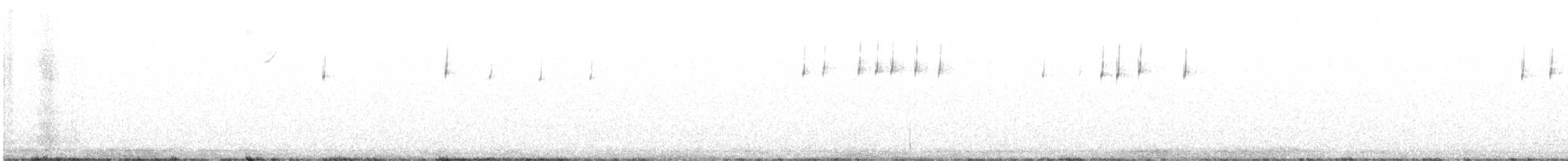 Bell's Sparrow - ML646317657