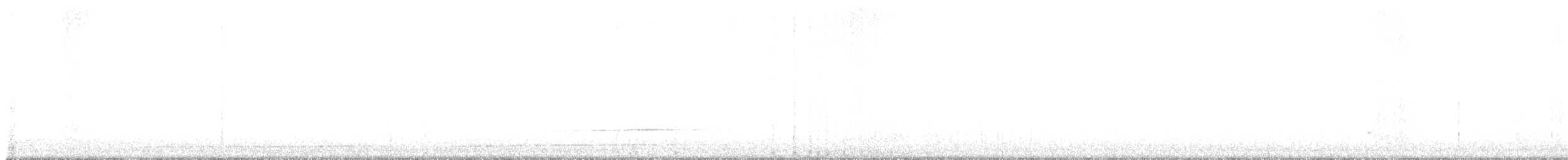 owl sp. - ML646317769