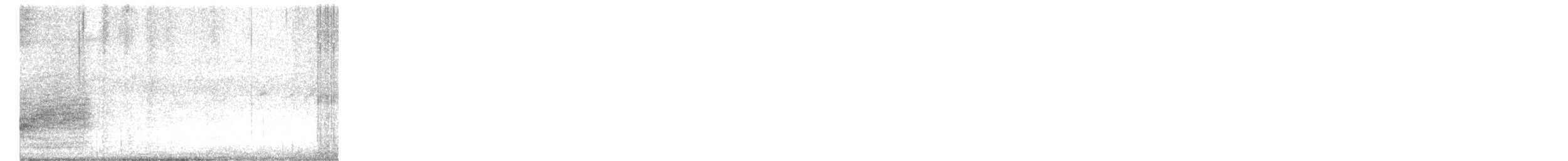 Great Bowerbird - ML646318150