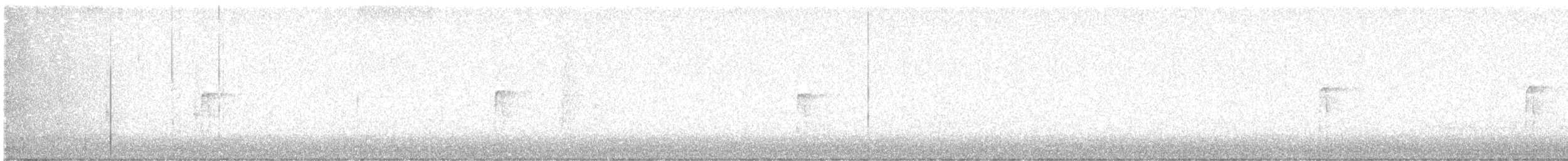 Hairy Woodpecker - ML646318995