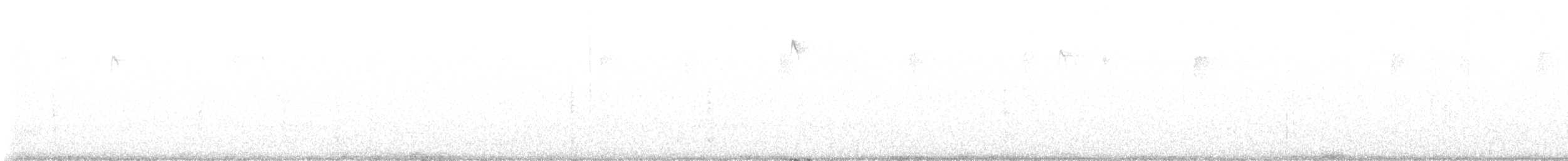 Hairy Woodpecker - ML646319144