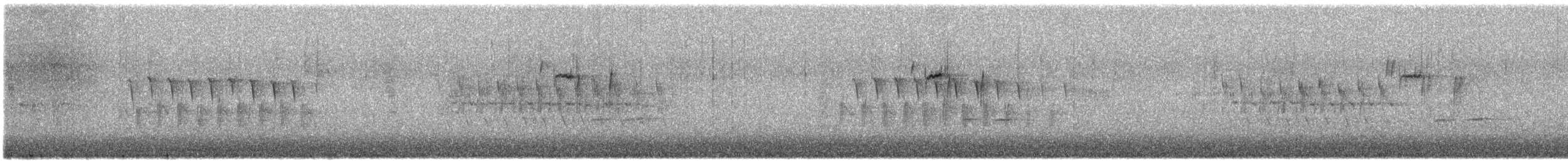 White-breasted Nuthatch - ML646319208