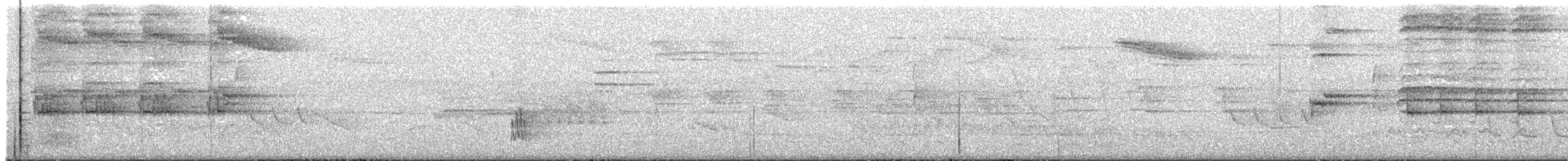 Blacksmith Thrush - ML646319308