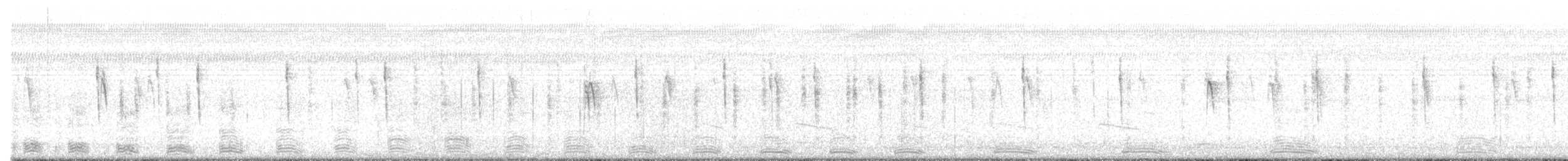 ibis bílý - ML646319981