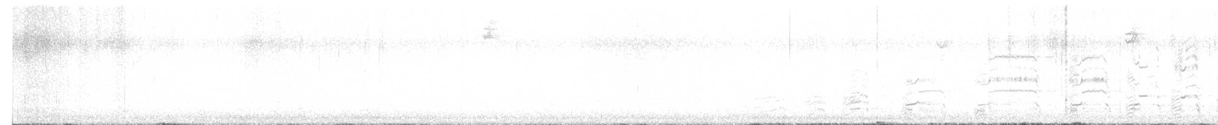 שחף עקוד-מקור - ML646320622