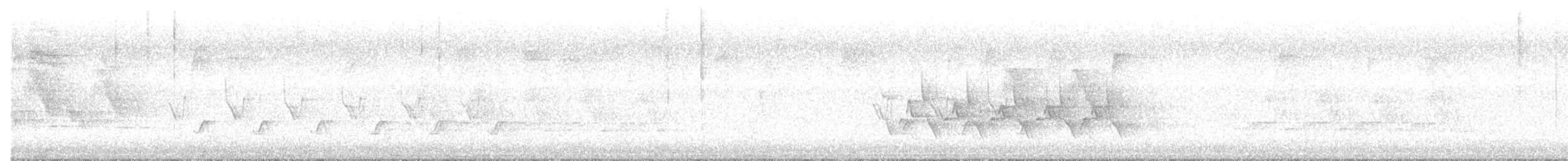 Cucarachero de Carolina - ML646321007