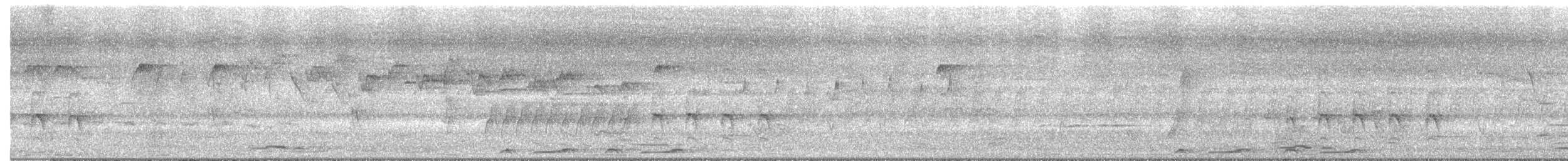 Rose-crowned Fruit-Dove - ML646321298