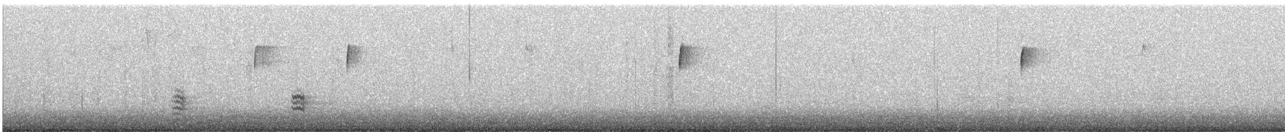 White-breasted Nuthatch - ML646321937