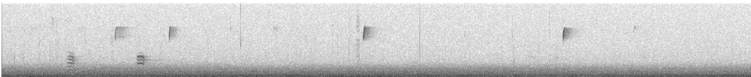 White-breasted Nuthatch - ML646321967