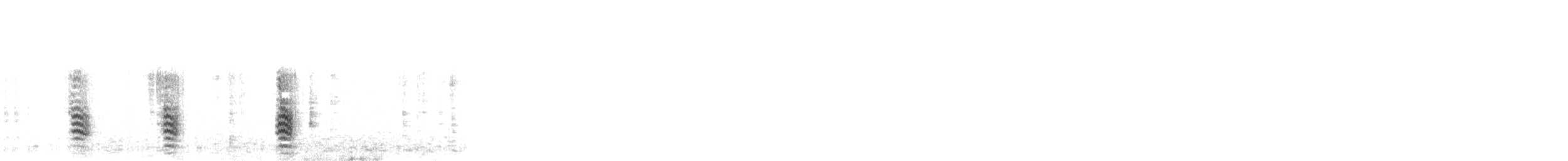 Sittelle à poitrine blanche - ML646322046