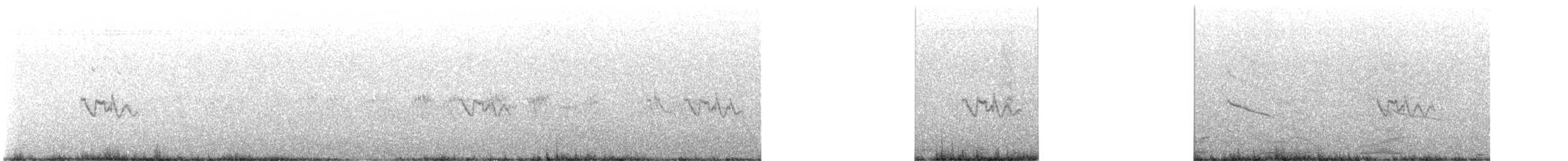 Australian Yellow White-eye - ML646322882