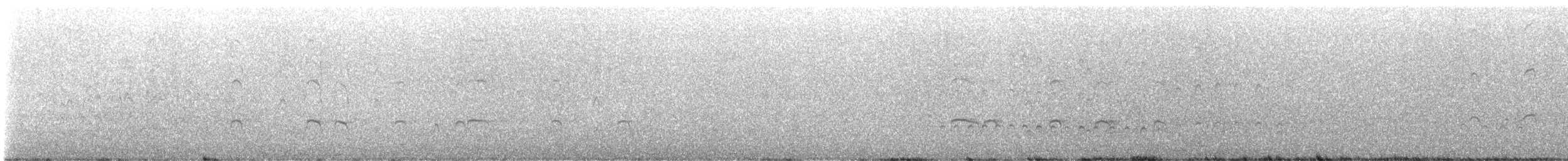 Eurasian Whimbrel (Siberian) - ML646323077