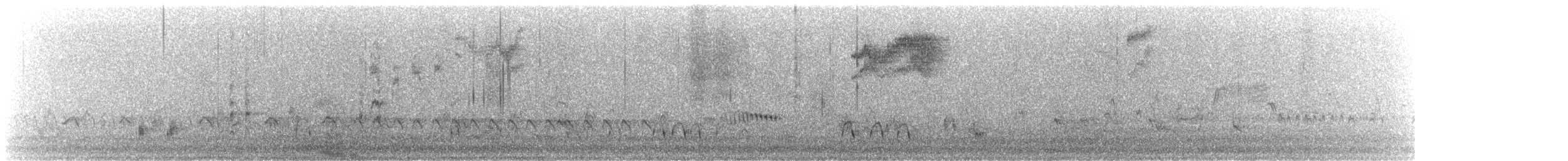 Spotted Towhee (oregonus Group) - ML646323326