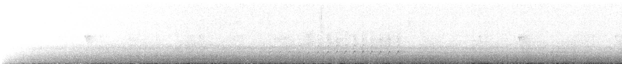 Northern Flicker (Yellow-shafted) - ML646323360