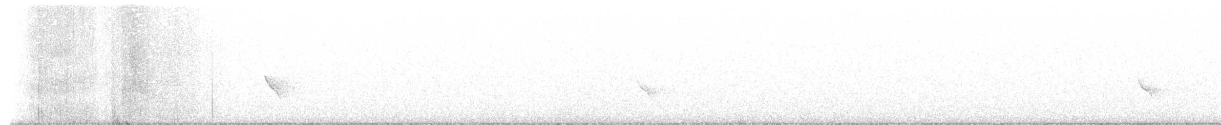 dlask žlutočelý - ML646323480