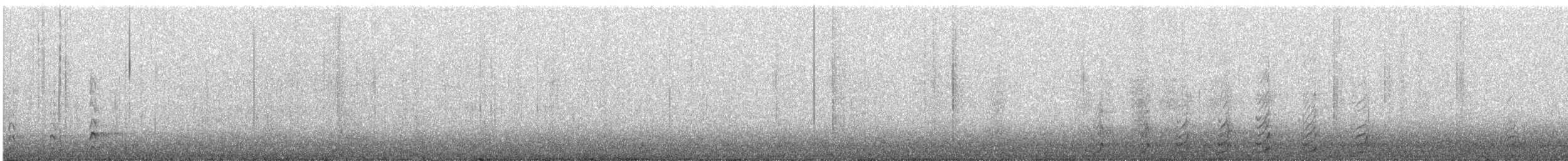 datel chocholatý - ML646323640